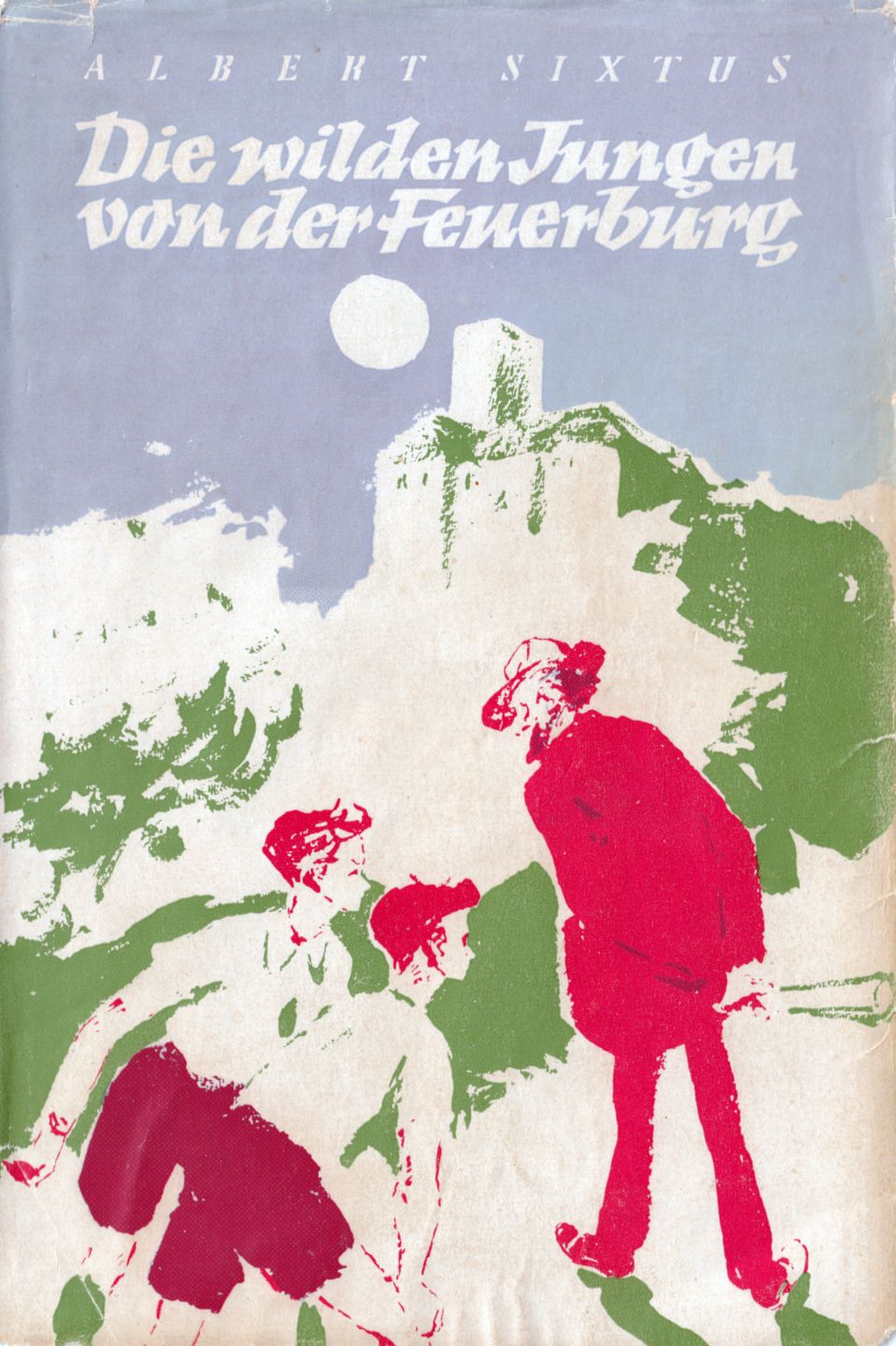 Einband des Buches „Die wilden Jungen von der Feuerburg“